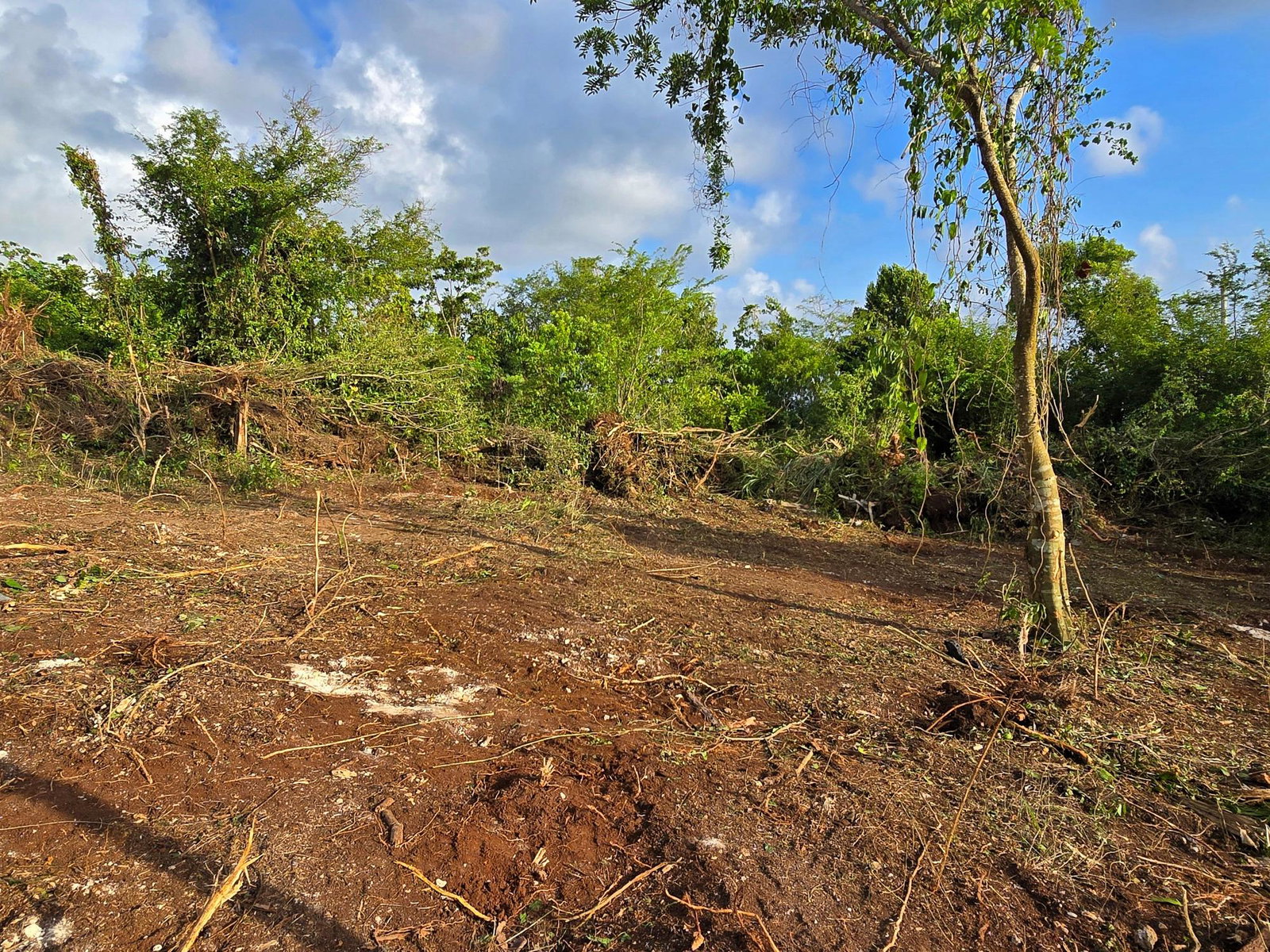 Sixth image of 125 Rio Nuevo Resorts, st Mar in Rio Nuevo Resorts, St. Mary, Jamaica - property is For Sale