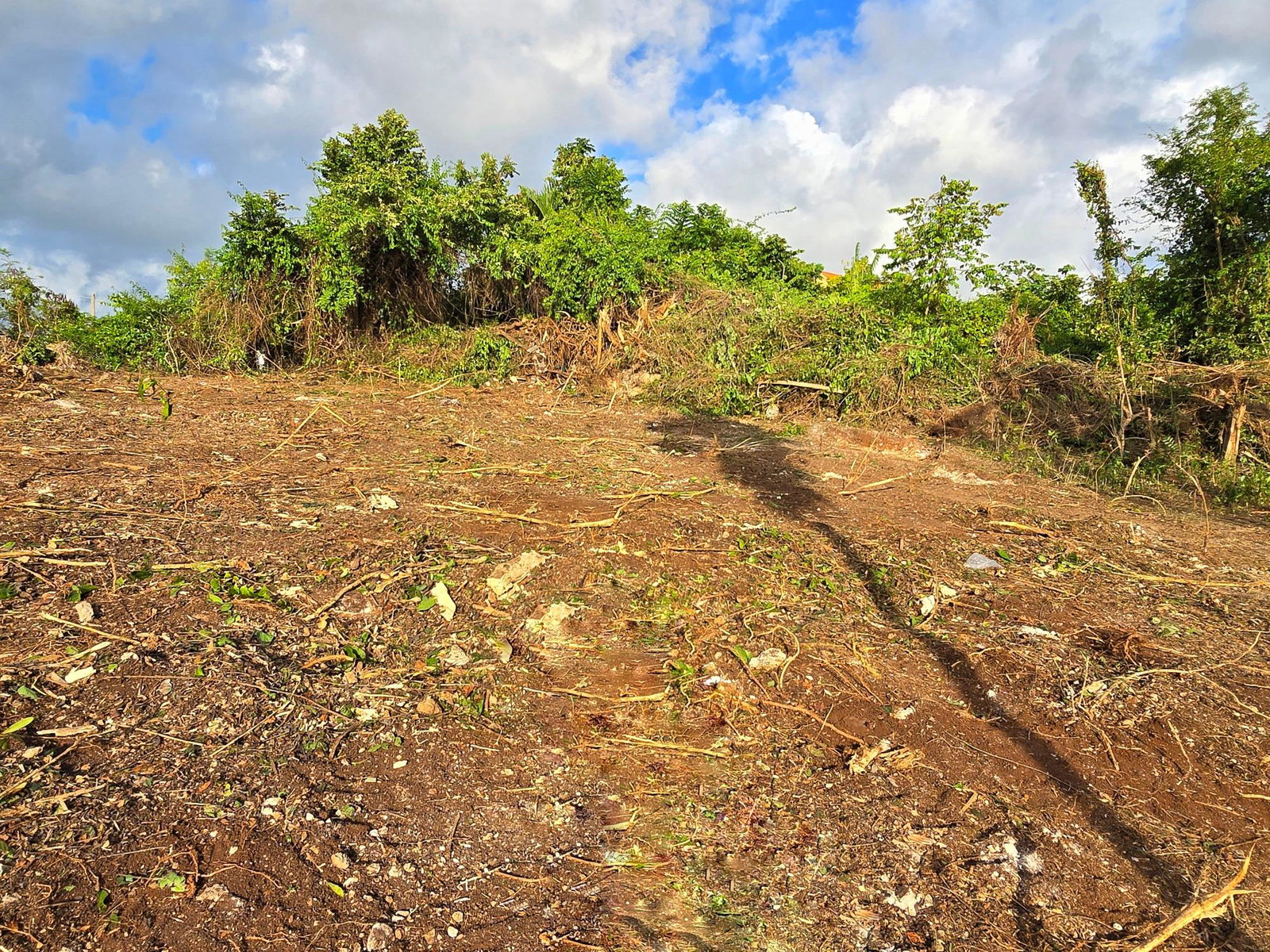 Seventh image of 125 Rio Nuevo Resorts, st Mar in Rio Nuevo Resorts, St. Mary, Jamaica - property is For Sale