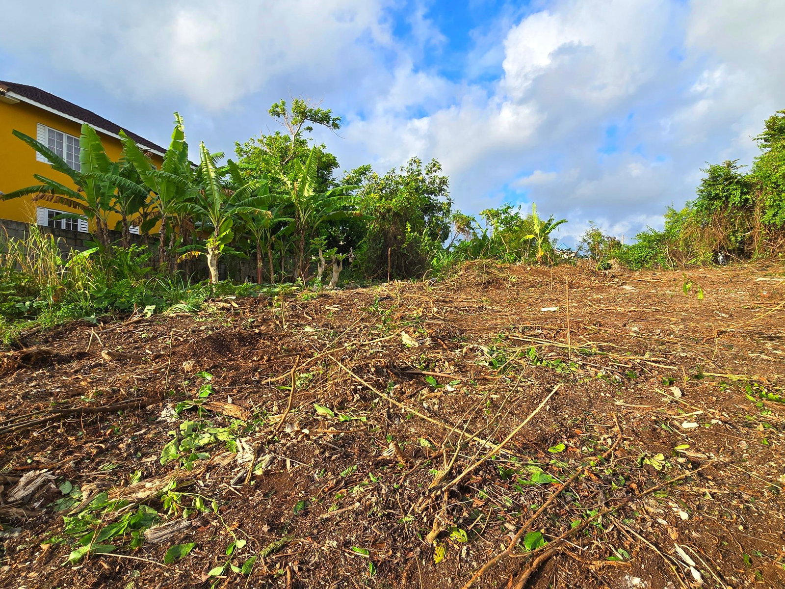 Eighth image of 125 Rio Nuevo Resorts, st Mar in Rio Nuevo Resorts, St. Mary, Jamaica - property is For Sale
