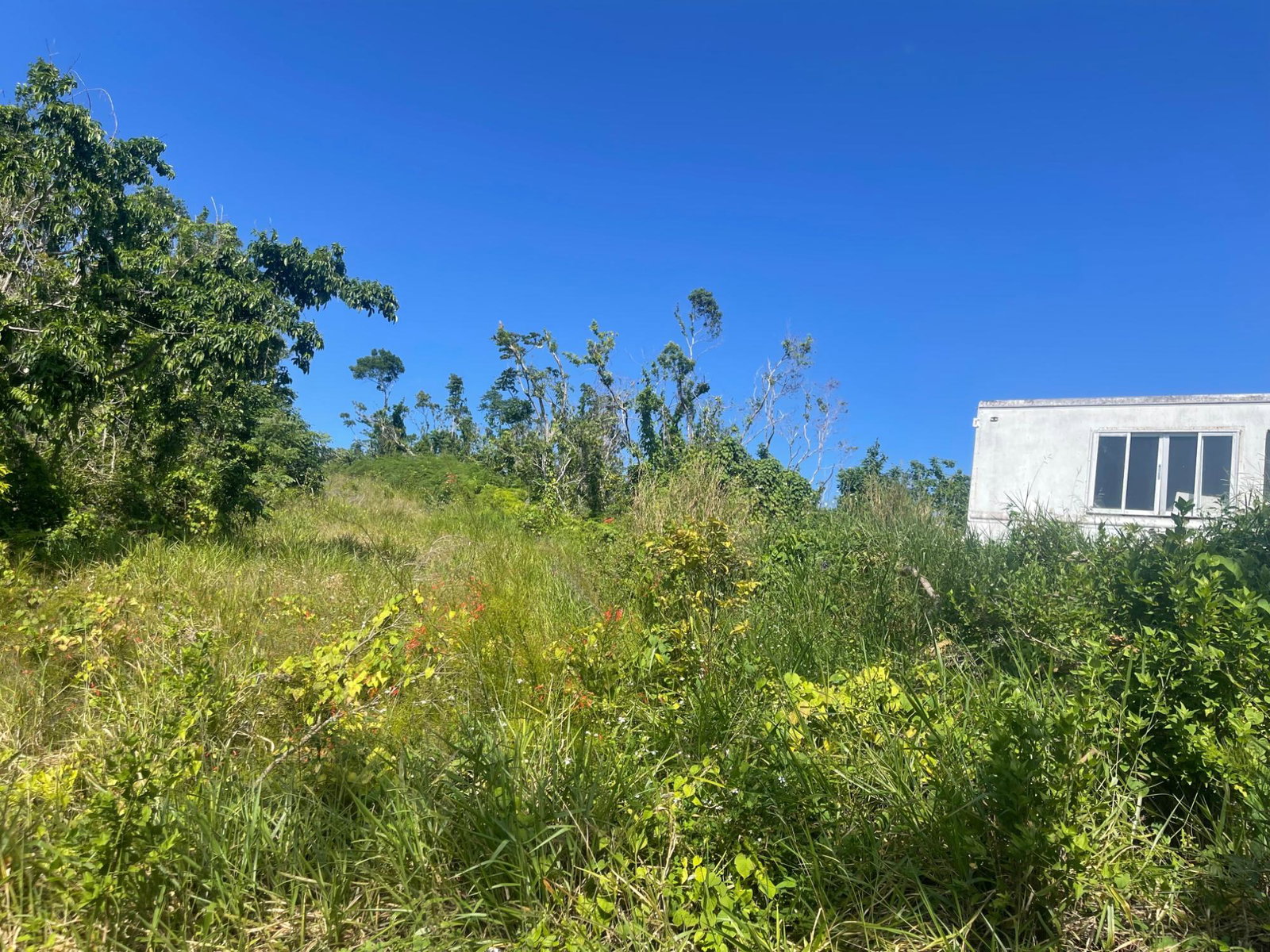 First image of 1 Huntley in Browns Town, St. Ann, Jamaica - property is For Sale