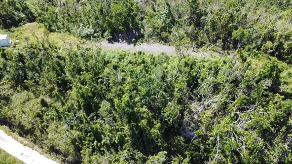 Fourth image of 1 Huntley in Browns Town, St. Ann, Jamaica - property is For Sale