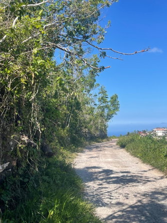 Seventh image of 1 Huntley in Browns Town, St. Ann, Jamaica - property is For Sale