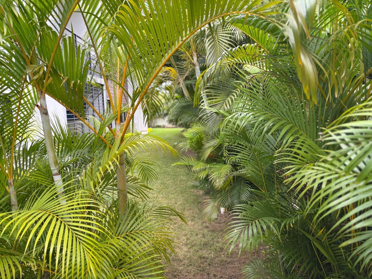 Eighteenth image of 1-6 Clieveden Avenue in Kingston 6, St. Andrew, Jamaica - property is For Rent
