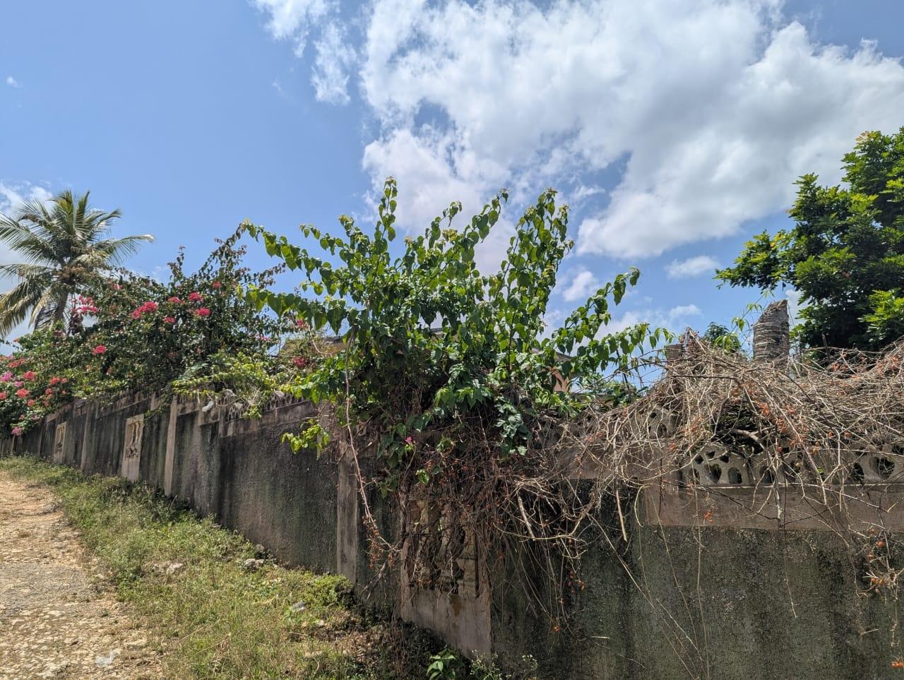 Fifth image of Commodore Linstead in Linstead, St. Catherine, Jamaica - property is For Sale