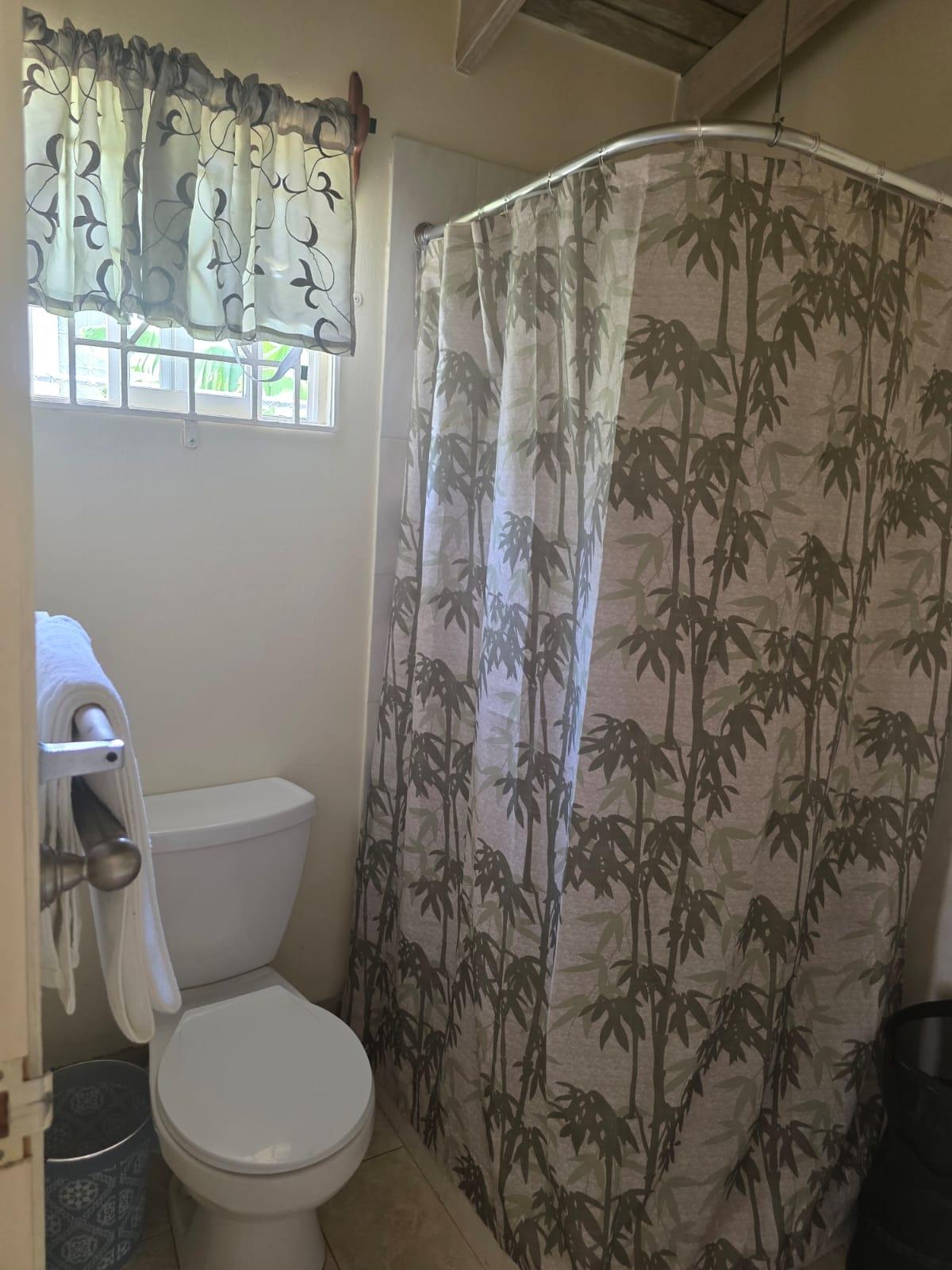Twelfth image of 381 Florence Hall in FLORENCE HALL VILLAGE, Trelawny, Jamaica - property is For Rent