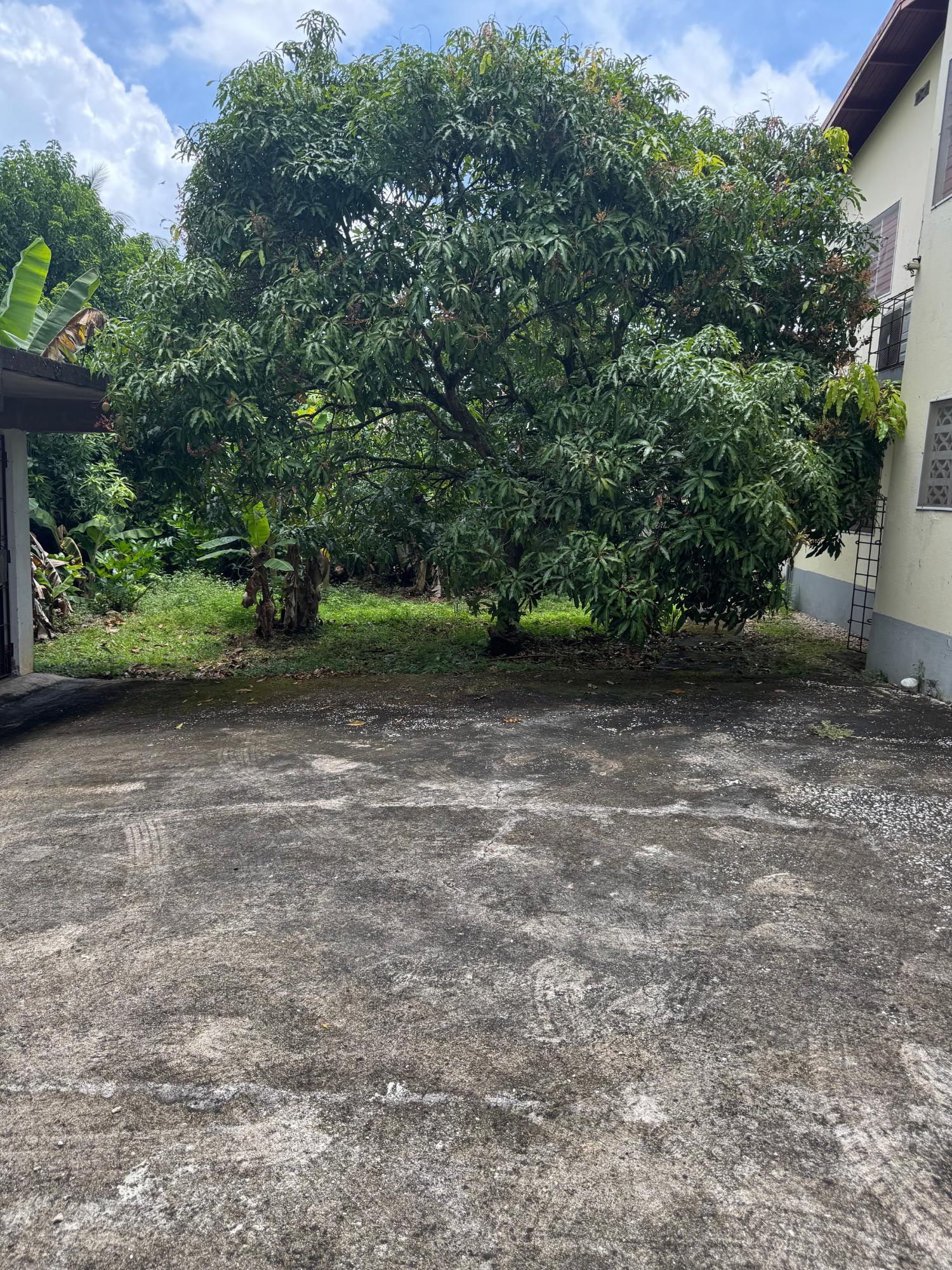 Eleventh image of 117 Wellington Avenue in Linstead, St. Catherine, Jamaica - property is For Sale