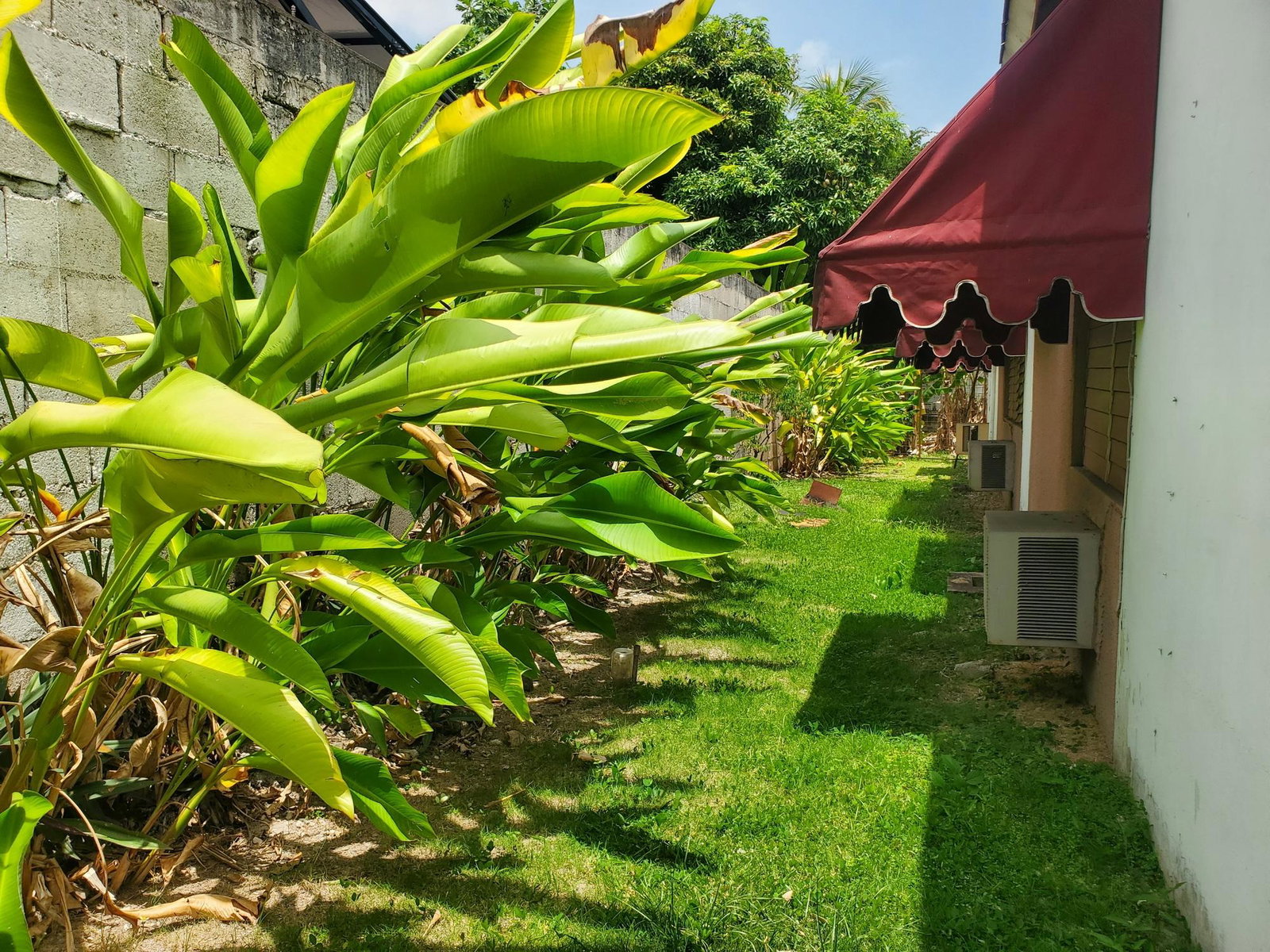 Tenth image of 6 1/4 Norbrook Drive in Kingston 8, St. Andrew, Jamaica - property is For Sale