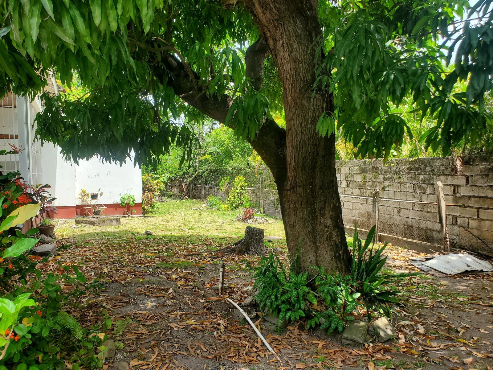 Twelfth image of 6 1/4 Norbrook Drive in Kingston 8, St. Andrew, Jamaica - property is For Sale