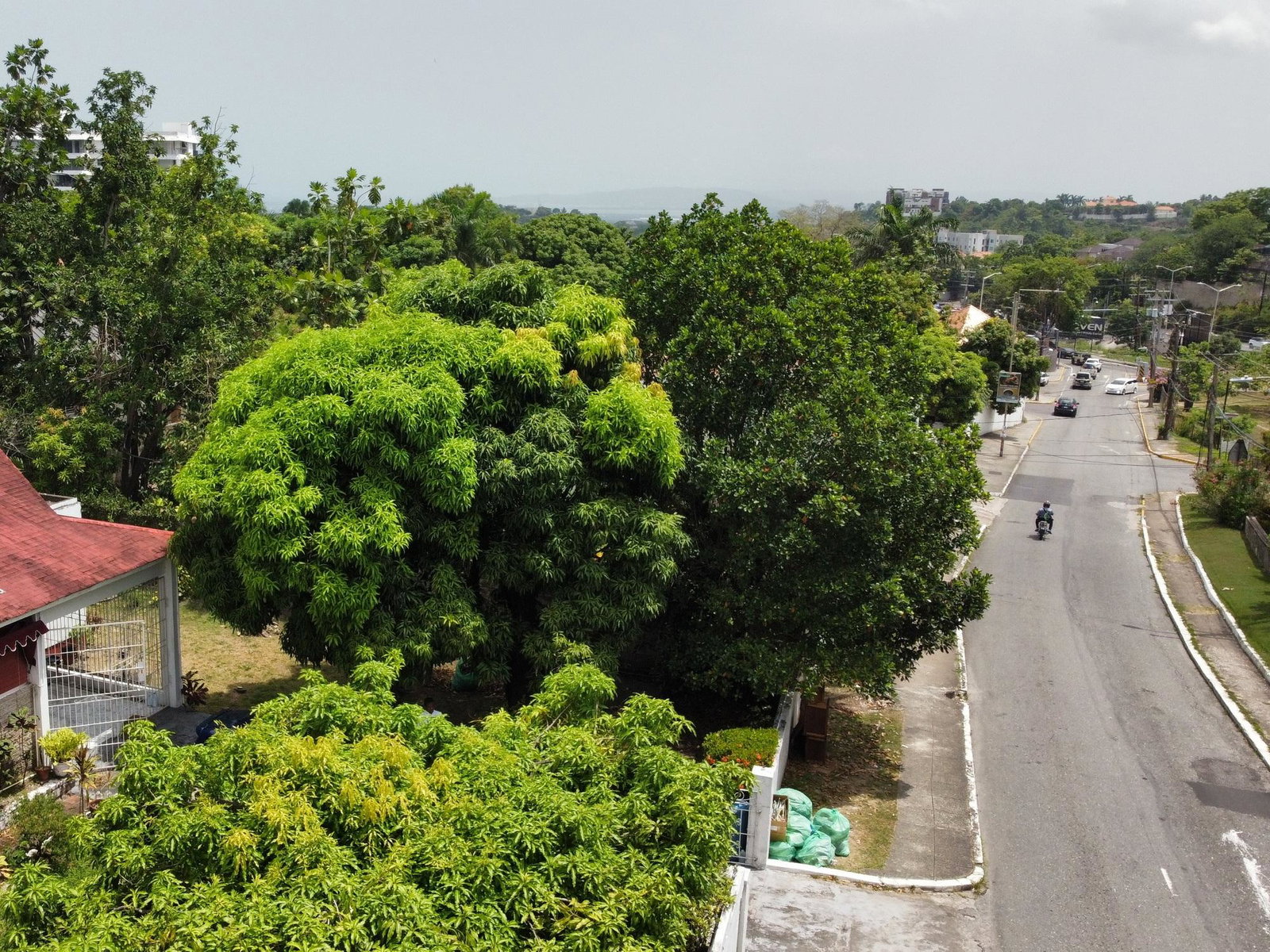 Nineteenth image of 6 1/4 Norbrook Drive in Kingston 8, St. Andrew, Jamaica - property is For Sale