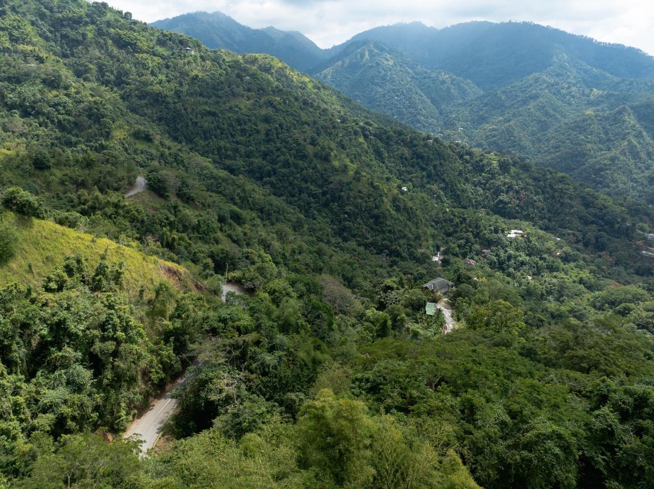 First image of Part of Ellerslie, Resour in Gordon Town P.O., St. Andrew, Jamaica - property is For Sale