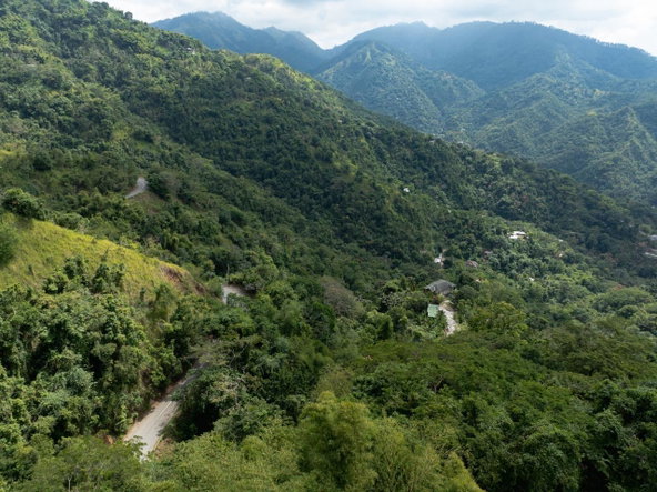 First image of Part of Ellerslie, Resour in Gordon Town P.O., St. Andrew, Jamaica - property is For Sale