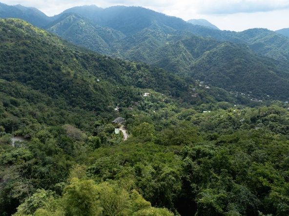 Second image of Part of Ellerslie, Resour in Gordon Town P.O., St. Andrew, Jamaica - property is For Sale