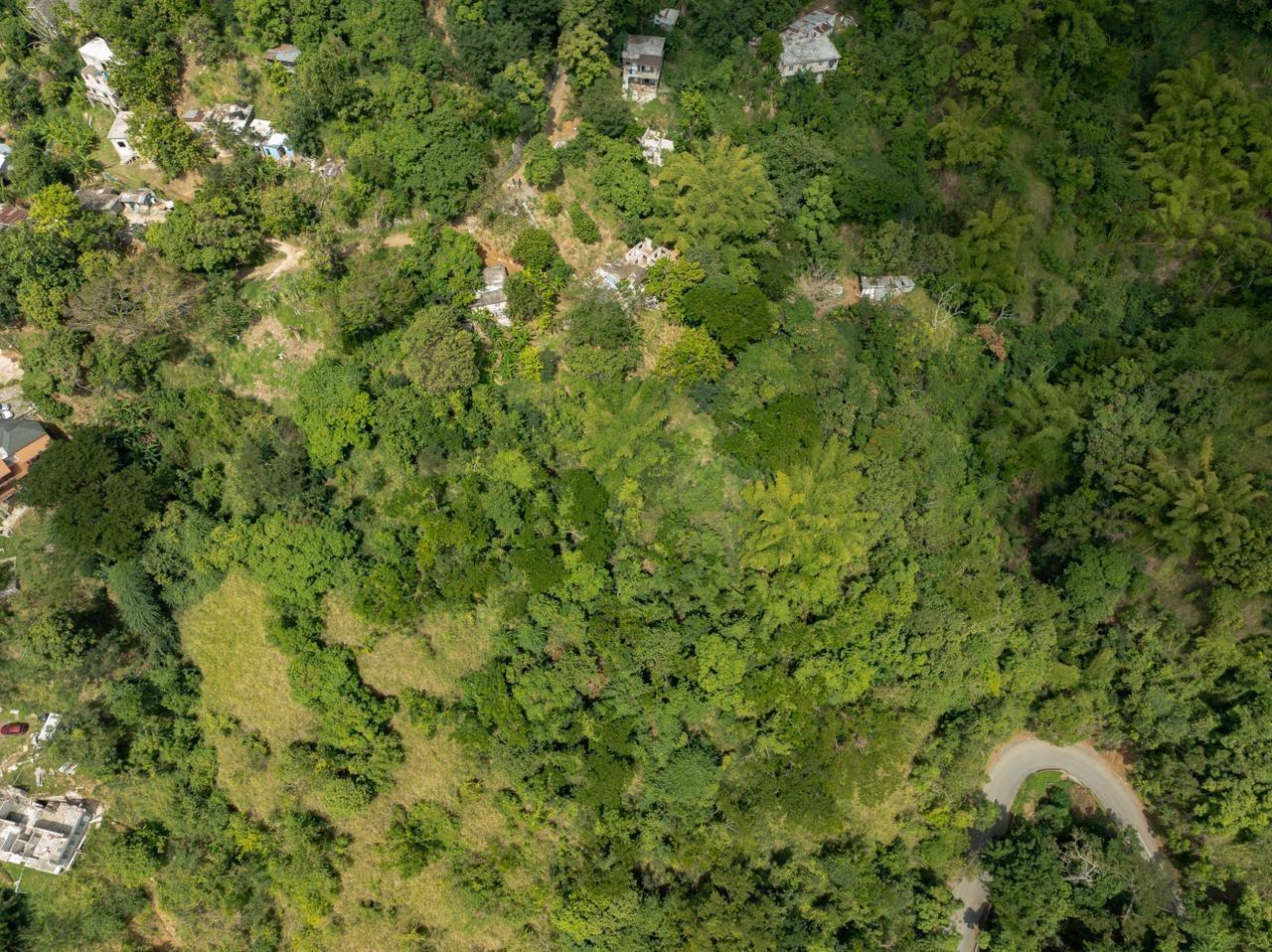 Fourth image of Part of Ellerslie, Resour in Gordon Town P.O., St. Andrew, Jamaica - property is For Sale