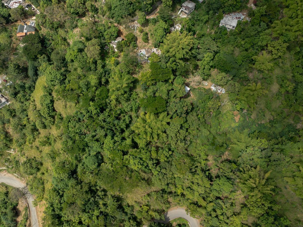 Fifth image of Part of Ellerslie, Resour in Gordon Town P.O., St. Andrew, Jamaica - property is For Sale