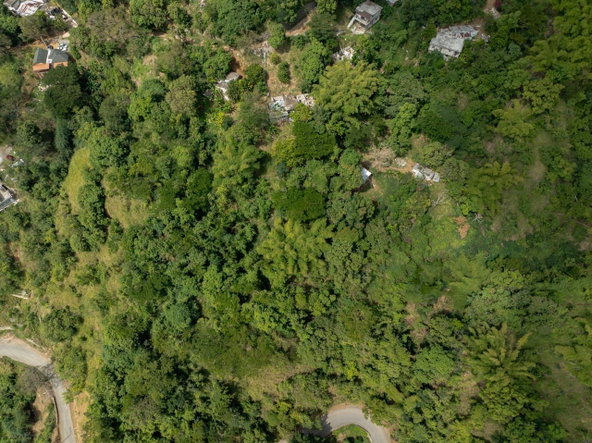 Fifth image of Part of Ellerslie, Resour in Gordon Town P.O., St. Andrew, Jamaica - property is For Sale