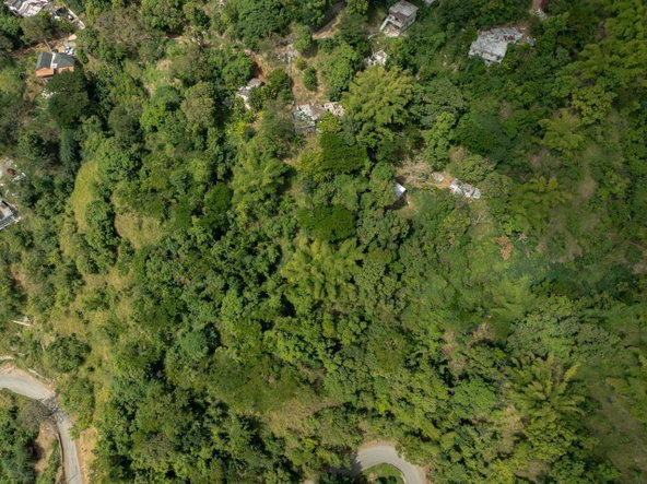 Sixth image of Part of Ellerslie, Resour in Gordon Town P.O., St. Andrew, Jamaica - property is For Sale