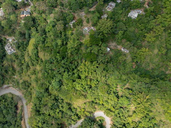 Eighth image of Part of Ellerslie, Resour in Gordon Town P.O., St. Andrew, Jamaica - property is For Sale
