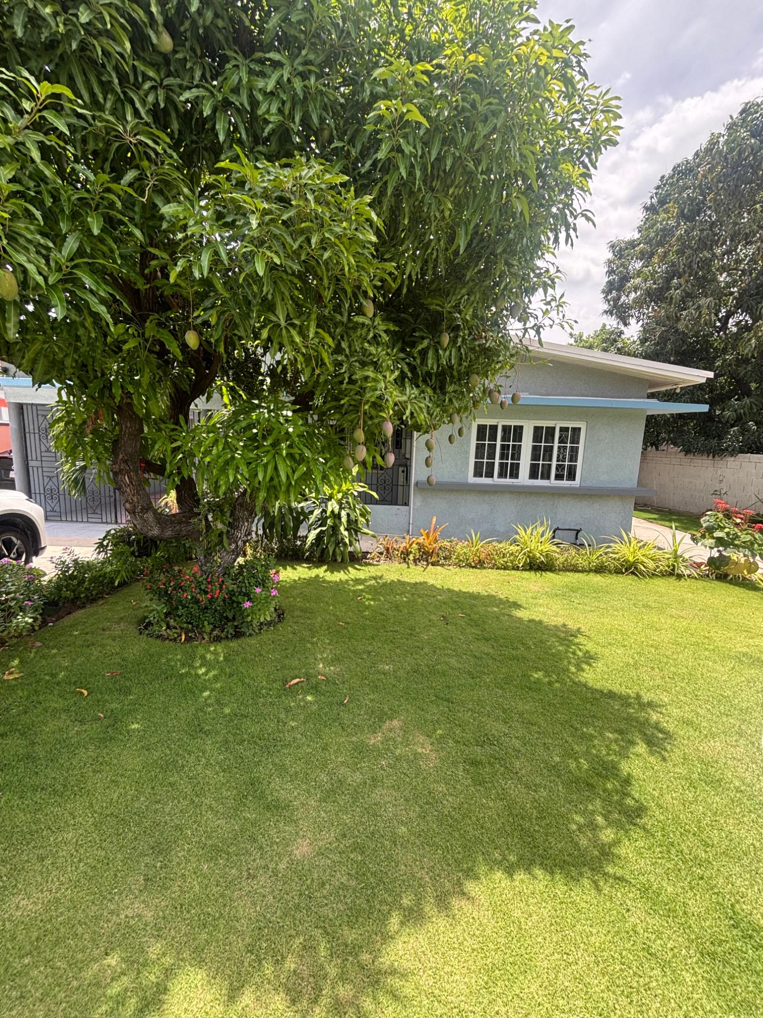 Ninth image of A-29 Cassia Park Road, Kingsto in Kingston 10, St. Andrew, Jamaica - property is For Rent