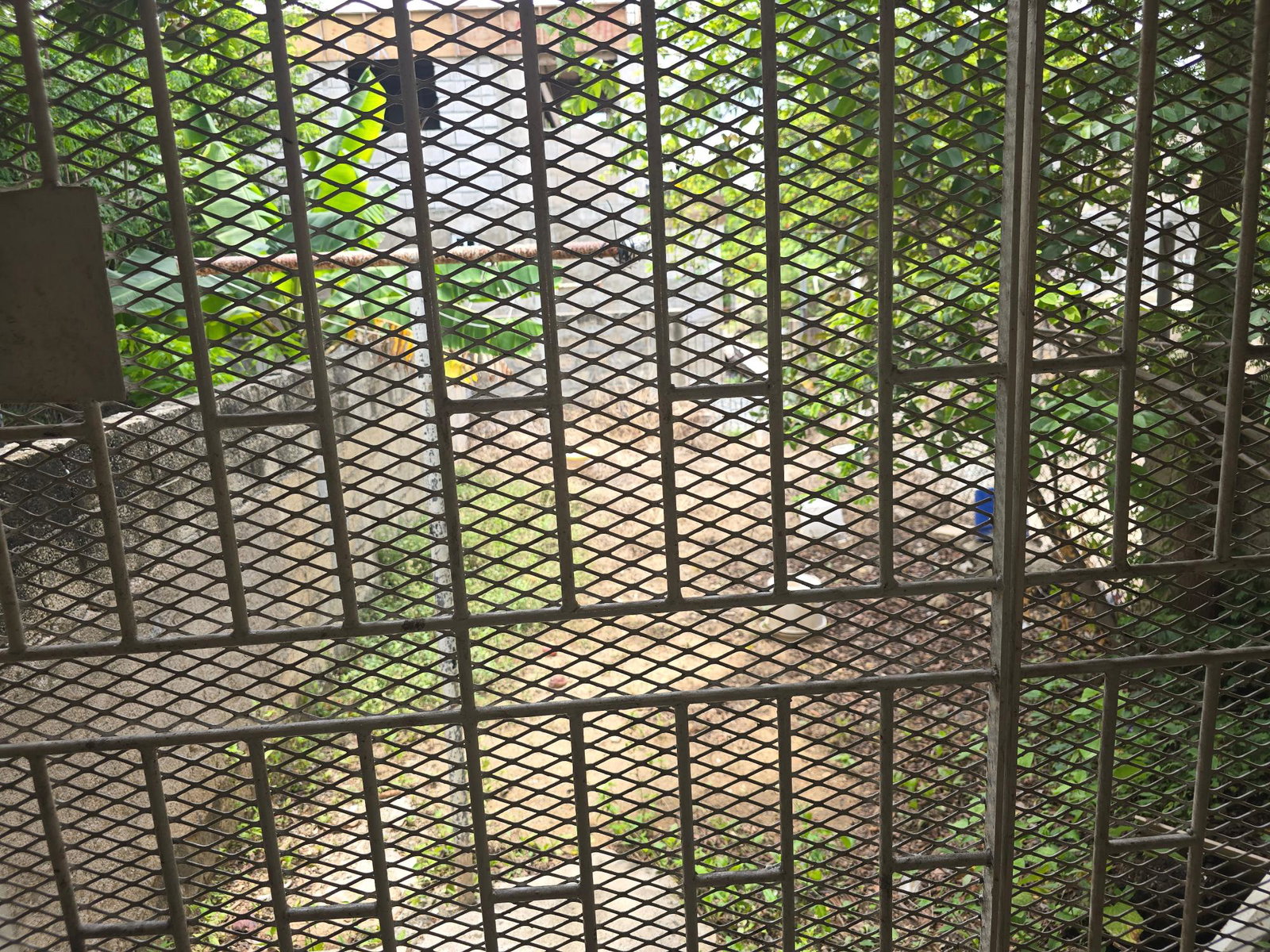 Ninth image of 39d Hamilton Gardens in Hamilton Gardens, St. Catherine, Jamaica - property is For Sale