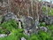 First image of Content Mountain in Maldon, St. James, Jamaica - property is For Sale