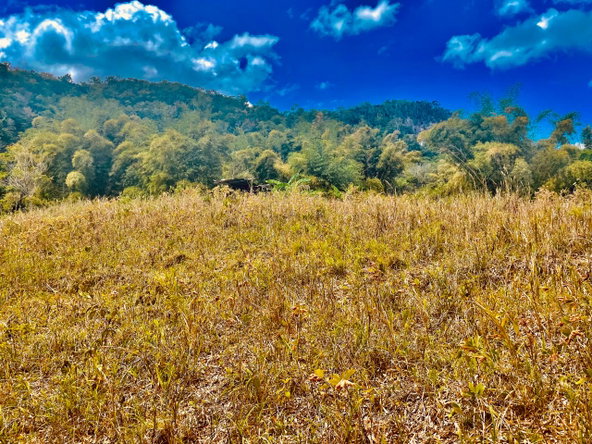 Thirteenth image of Content Mountain in Maldon, St. James, Jamaica - property is For Sale