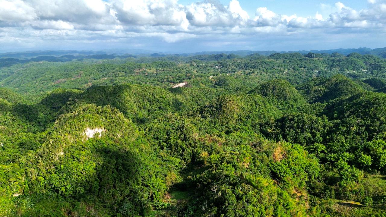 Seventh image of Content Mountain in Maldon, St. James, Jamaica - property is For Sale