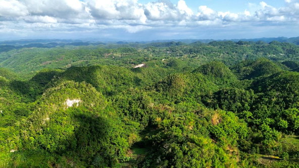 Seventh image of Content Mountain in Maldon, St. James, Jamaica - property is For Sale