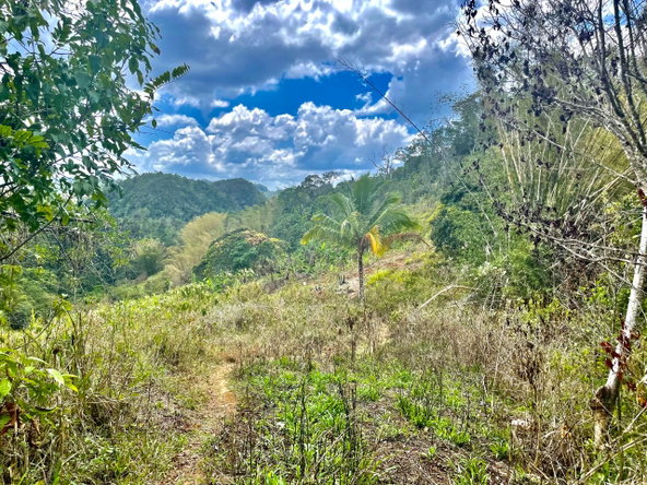 Eleventh image of Chatham Mountain in Maldon, St. James, Jamaica - property is For Sale