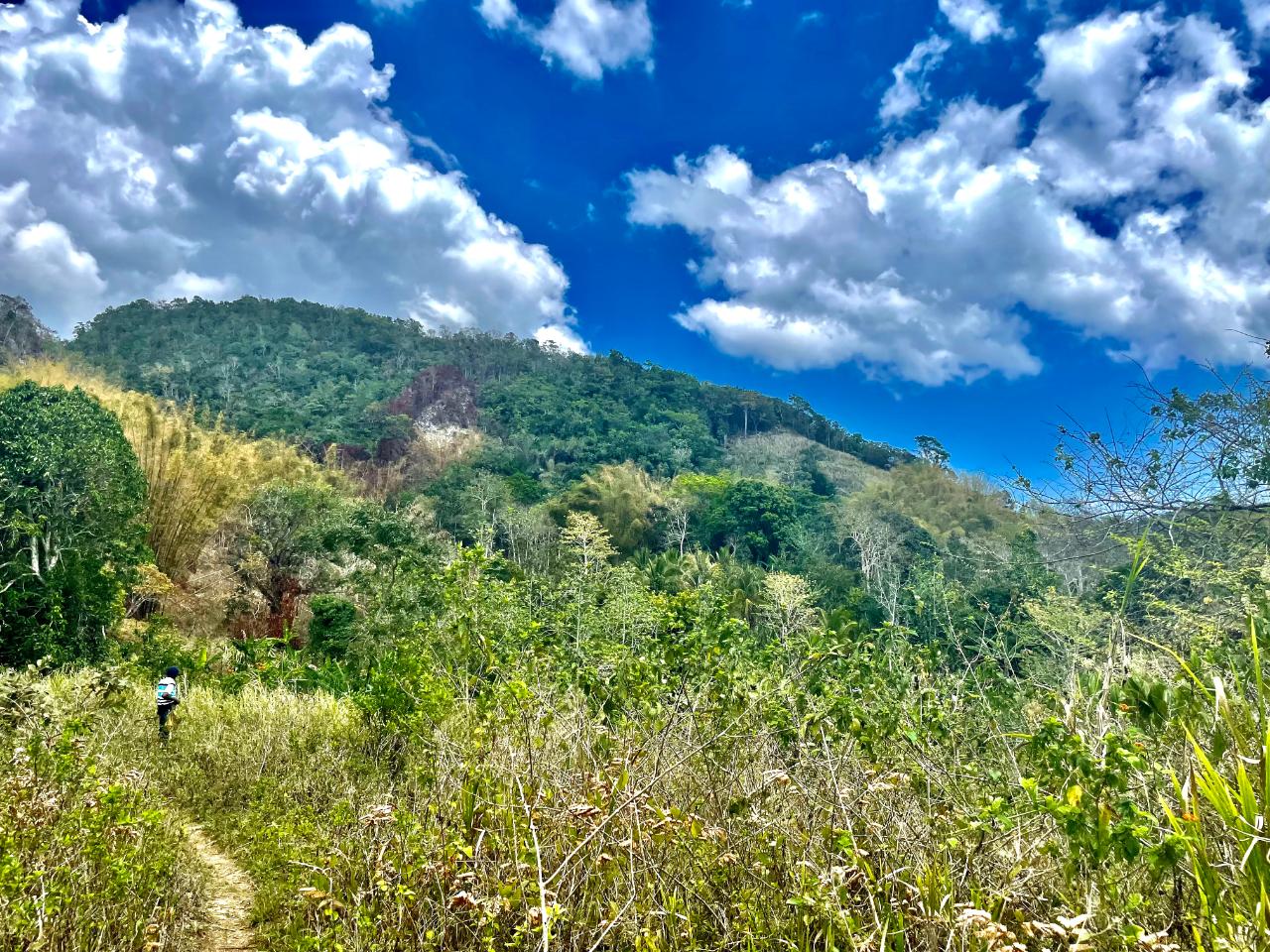 Twelfth image of Chatham Mountain in Maldon, St. James, Jamaica - property is For Sale