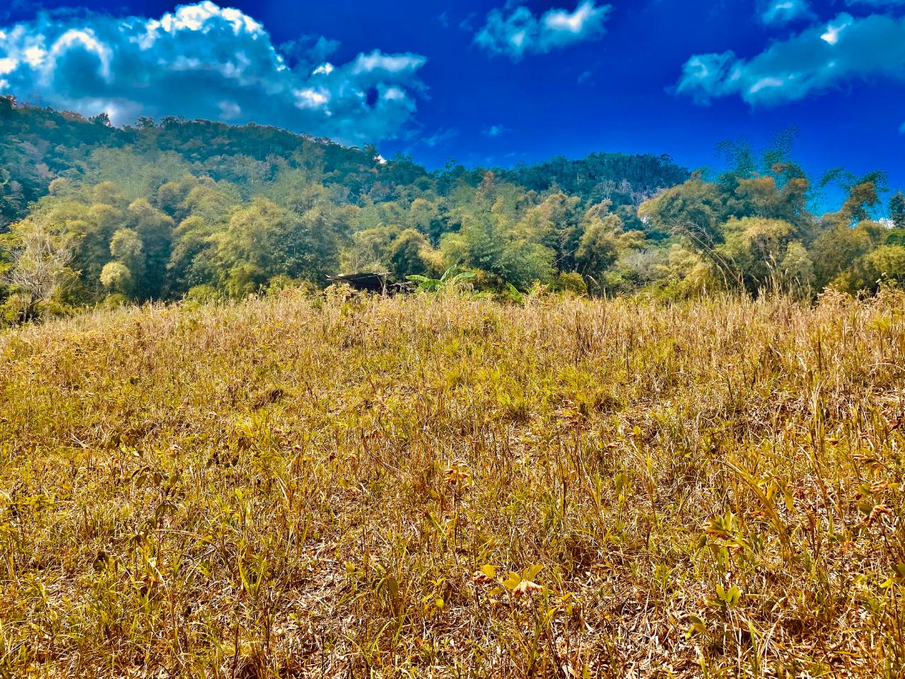 Thirteenth image of Chatham Mountain in Maldon, St. James, Jamaica - property is For Sale