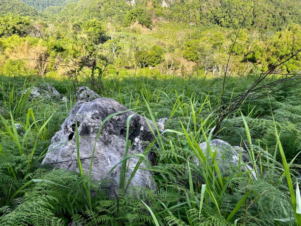 Second image of Chatham Mountain in Maldon, St. James, Jamaica - property is For Sale