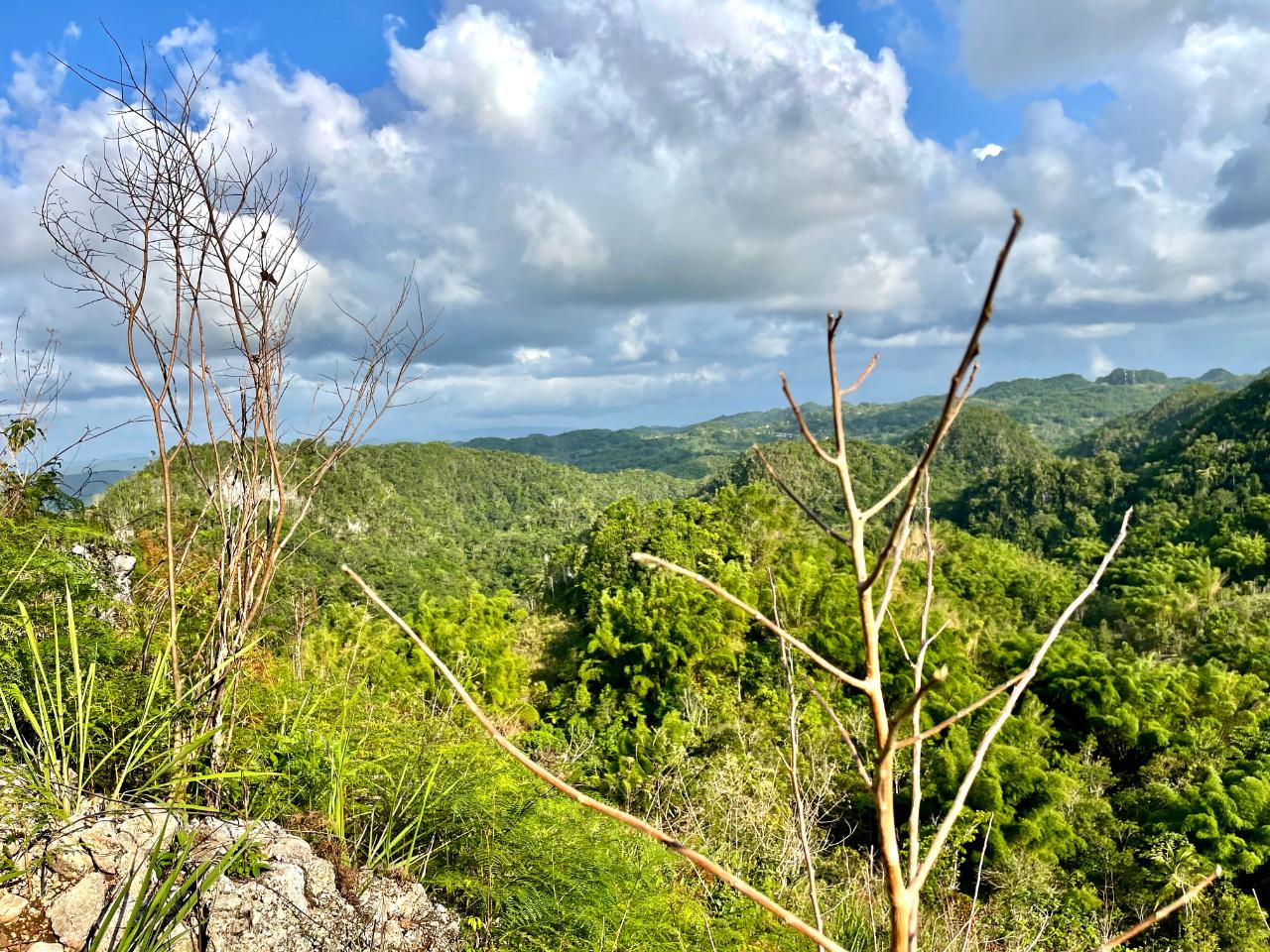 Fourth image of Chatham Mountain in Maldon, St. James, Jamaica - property is For Sale