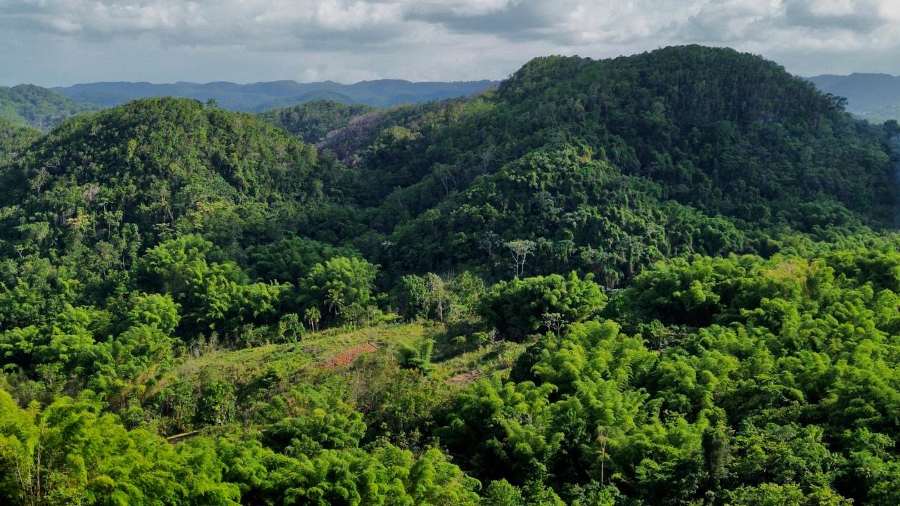 Sixth image of Chatham Mountain in Maldon, St. James, Jamaica - property is For Sale