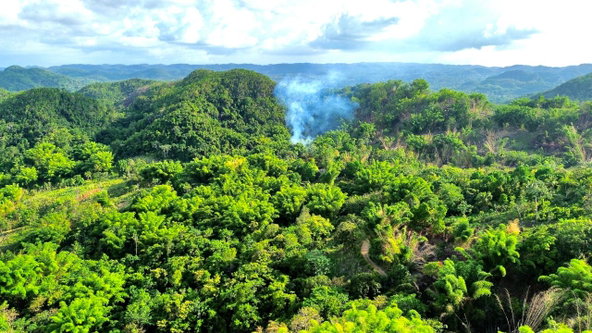 Eighth image of Chatham Mountain in Maldon, St. James, Jamaica - property is For Sale