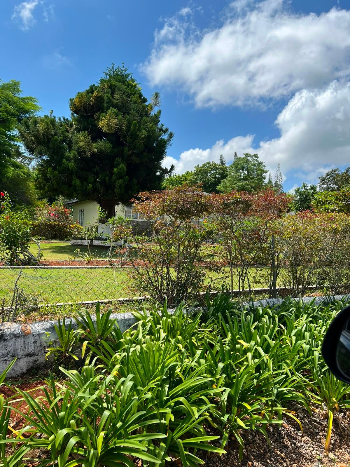 Twenty-First image of 12 Cotton Tree Road in Mandeville, Manchester, Jamaica - property is For Sale