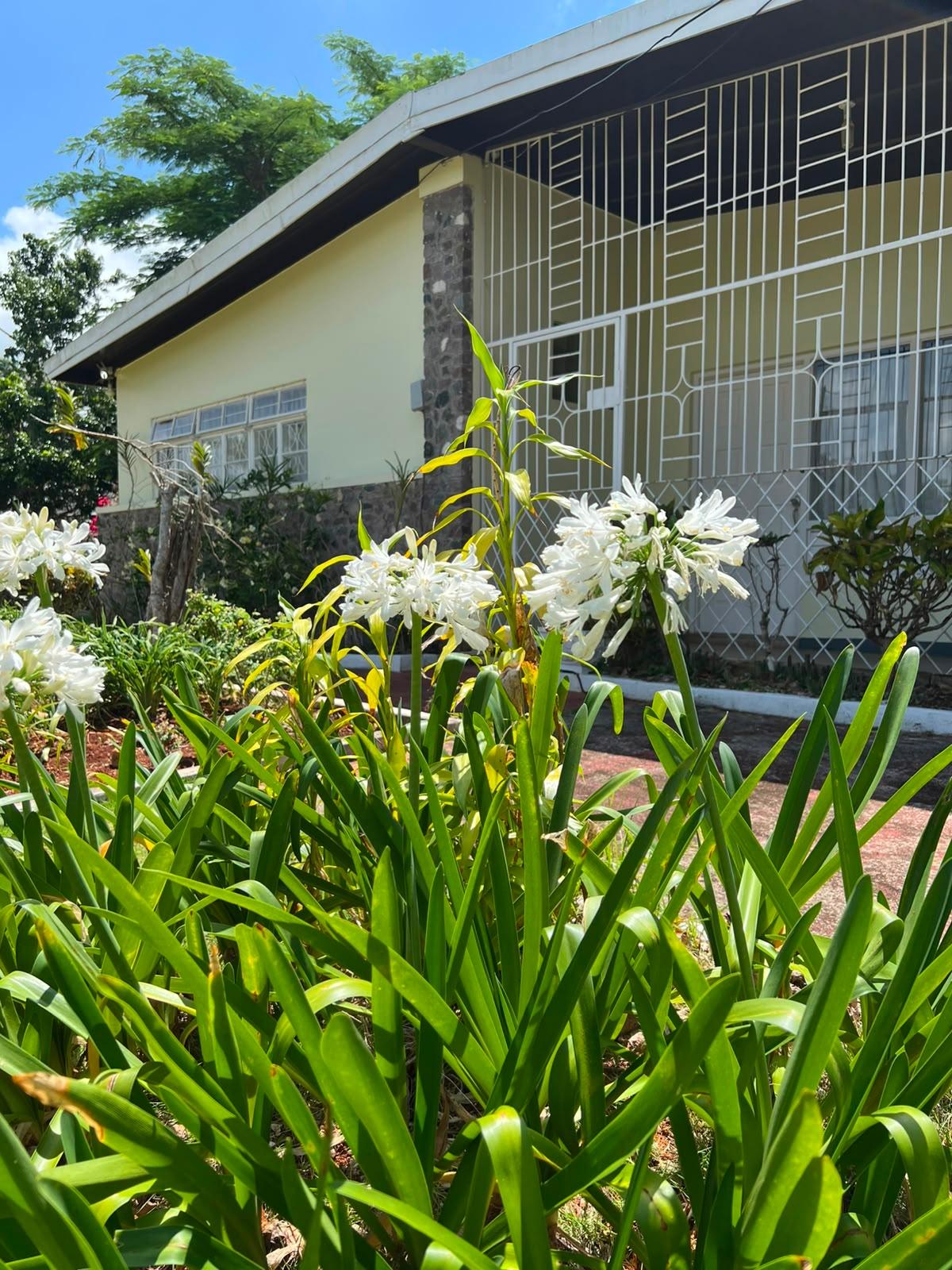 Twenty-Sixth image of 12 Cotton Tree Road in Mandeville, Manchester, Jamaica - property is For Sale