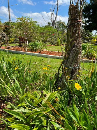 Twenty-Seventh image of 12 Cotton Tree Road in Mandeville, Manchester, Jamaica - property is For Sale