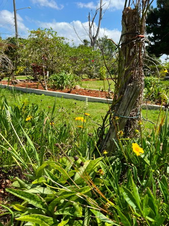 Twenty-Eighth image of 12 Cotton Tree Road in Mandeville, Manchester, Jamaica - property is For Sale