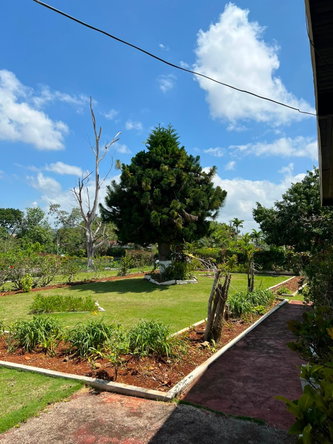 Twenty-Ninth image of 12 Cotton Tree Road in Mandeville, Manchester, Jamaica - property is For Sale