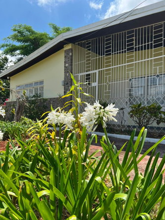Thirtieth image of 12 Cotton Tree Road in Mandeville, Manchester, Jamaica - property is For Sale