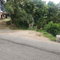 First image of mt Ogle in Stony Hill P.O., St. Andrew, Jamaica - property is For Sale