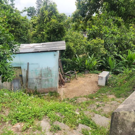 Third image of mt Ogle in Stony Hill P.O., St. Andrew, Jamaica - property is For Sale