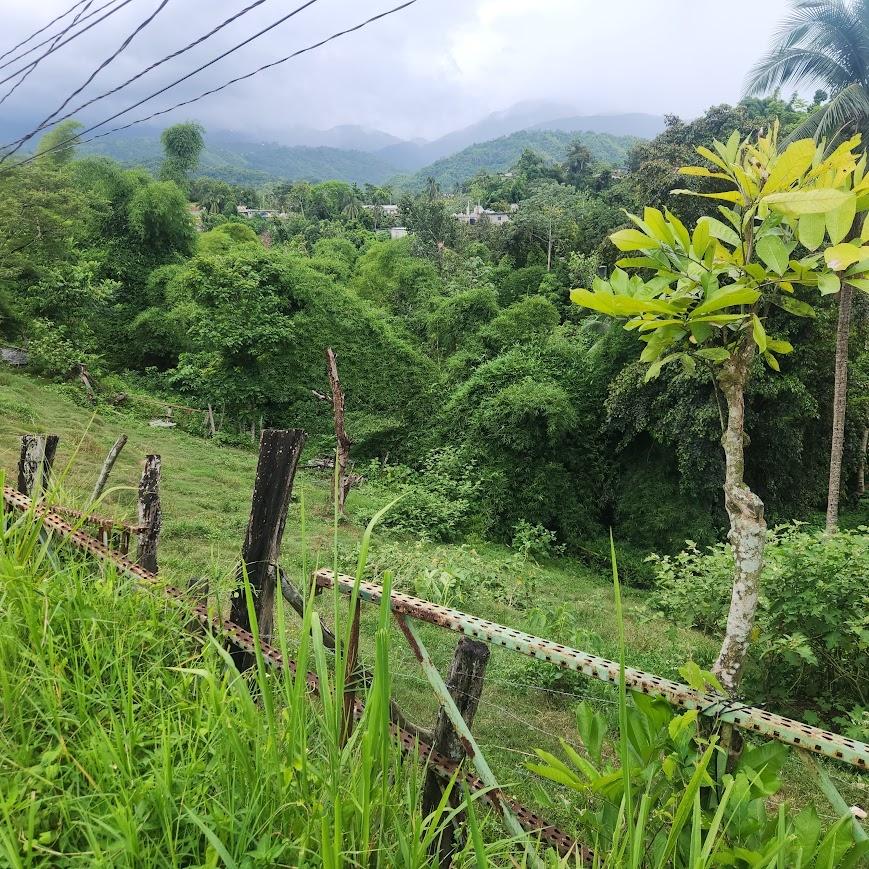 Sixth image of mt Ogle in Stony Hill P.O., St. Andrew, Jamaica - property is For Sale