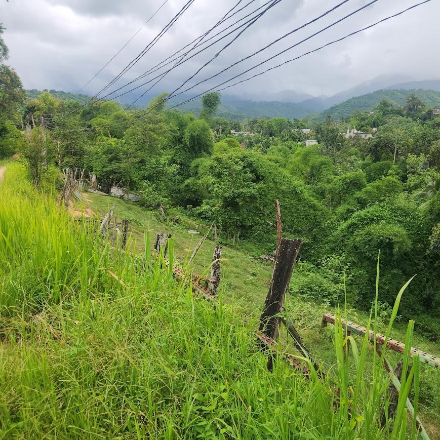 Eighth image of mt Ogle in Stony Hill P.O., St. Andrew, Jamaica - property is For Sale
