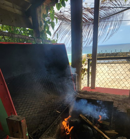 Sixth image of Villarasta- Long Bay in Long Bay, Portland, Jamaica - property is For Sale