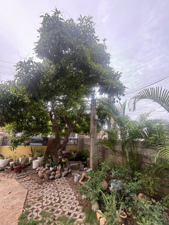 Eighth image of 117 Dolphin Avenue in Old Harbour, St. Catherine, Jamaica - property is For Sale