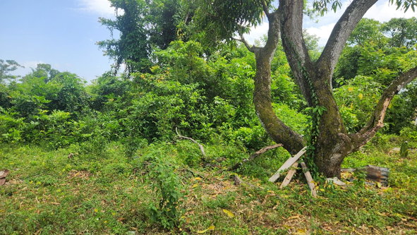 Second image of Sandy Bay in Sandy Bay, Hanover, Jamaica - property is For Sale
