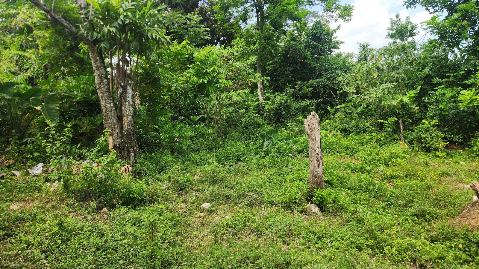 Third image of Sandy Bay in Sandy Bay, Hanover, Jamaica - property is For Sale