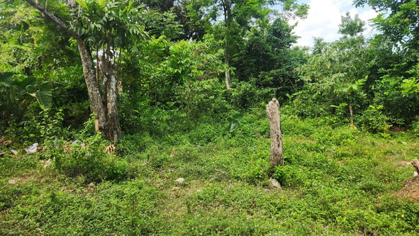 Third image of Sandy Bay in Sandy Bay, Hanover, Jamaica - property is For Sale
