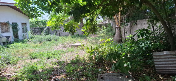 Sixth image of 214 Westmore Drive, Westmore in Westmore Gardens, St. Catherine, Jamaica - property is For Sale